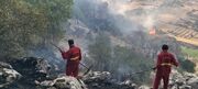 آتش سوزی ۲۸۸ هکتار جنگل در خوزستان؛ احتمال گسترش حریق در تابستان