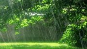 بارش پراکنده باران در گیلان
