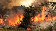 آتش همچنان در جنگل‌های کهگیلویه