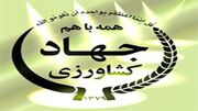 از خطر زنگ زرد در گندمزار‌ها تا مبارزه با سن گندم در فارس