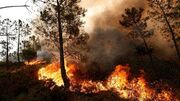 تداوم آتش‌سوزی در منطقه بلبزان پاوه