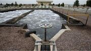 ۷۷ پروژه غیر سازه‌ای شرکت آب منطقه‌ای فارس در دولت سیزدهم