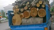 توقیف ۲ دستگاه نیسان حامل چوب جنگلی قاچاق در آمل