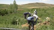 اجرای ۲۰ کیلومتر طرح انتقال آب در اراضی کشاورزی شهرستان تکاب