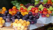 تولید میوه‌های تابستانه ۲۰ درصد افزایش یافت
تولید میوه‌های تابستانه ۲۰ درصد افزایش یافت