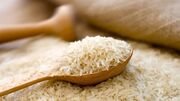 قیمت برنج ایرانی ۶ درصد کاهش یافت
قیمت برنج ایرانی ۶ درصد کاهش یافت