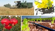 نرخ خرید تضمینی محصولات کشاورزی هفته آینده اعلام می‌شود
نرخ خرید تضمینی محصولات کشاورزی هفته آینده اعلام می‌شود