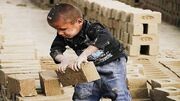 افزایش کودکان کارهای شاقه در افغانستان
افزایش کودکان کارهای شاقه در افغانستان