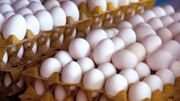 صادرات تخم‌مرغ به ۵۰ هزارتن رسید
صادرات تخم‌مرغ به ۵۰ هزارتن رسید