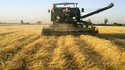 ۳۳ هزار تن گندم از کشاورزان میامی خریداری شد
۳۳ هزار تن گندم از کشاورزان میامی خریداری شد