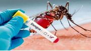 پشه‌های عامل تب دنگی، مالاریا و سالک، زیر ذره‌بین متخصصان سمنان
پشه‌های عامل تب دنگی، مالاریا و سالک، زیر ذره‌بین متخصصان سمنان