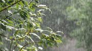 تداوم بارش‌های موسمی در سیستان و بلوچستان
تداوم بارش‌های موسمی در سیستان و بلوچستان