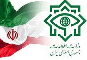 دستگیری ۳ لیدر و ۱۴ مزدور شبکه خرابکاری خیابانی در ایلام