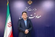سخنگوی وزارت کشور: توهین به رییس جمهور جرم است