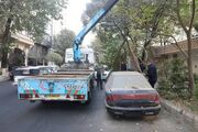 ۳۶۳۴ خودروی رها شده در تهران جمع‌آوری شد