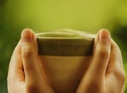 رضایت از تقدیر الهی؛ شاه‌کلید زندگی گوارا و مسیر سعادت ابدی