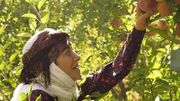 سریال «مادران»؛ روایت تازه‌ای از ایثار مادران شهدا در قاب تلویزیون