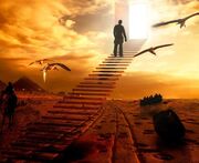 چه کسانی در قیامت علیه انسان شهادت می‌دهند؟
