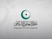 سازمان همکاری اسلامی حملات اسرائیل به سوریه را به شدت محکوم کرد/ تأکید بر حمایت از حاکمیت و تمامیت ارضی سوریه
