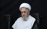 آیت‌الله سبحانی: اربعین تجلی‌گاه قدرت معنوی تشیع است