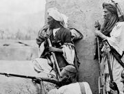 وقتی شیعیان افغانستان برای وطنی جنگیدند که هنوز آنان را شهروند برابر نمی‌شناخت