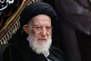 مردم برای بهبودی کامل آیت الله شبیری زنجانی دعا کنند