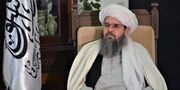مگر طالبان مأمور اجرای فرمان‌های آمریکا هستند؟ مقام طالب دقیقاً چه چیزی را توجیه می‌کند؟