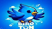 کارت‌های امروز برد (Bird) امروز سه‌شنبه ۱۳ آذر