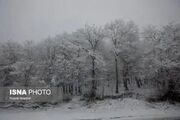 برف و باران و باد در ۲۸ استان