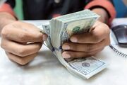 قیمت دلار و یورو امروز سه شنبه ۱۴ بهمن ۱۴۰۴