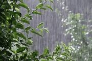 ۳ سناریوی ایران در مواجهه با «ال‌نینو»