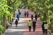 هزینه ورودی باشگاه انقلاب | بلیط یک‌بار ورود به‌صرفه‌تر است یا عضویت سالیانه؟