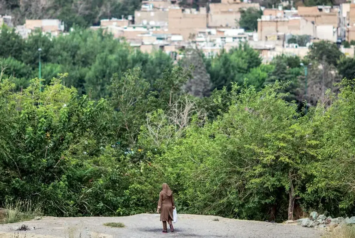 ادعاهای تازه شاکی پژمان جمشیدی: مستندات تجاوز جنسی موجود است