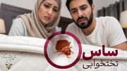ساس چیست و چگونه برای همیشه از شر ساس تختخواب خلاص شویم؟ (راهنمای کامل)