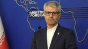 بقائی: در برابر زیاده خواهی طرف آمریکایی دست بسته نیستیم