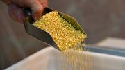 طلا روی ترمز افزایش قیمت زد