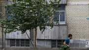 وزش باد شدید از امشب در تهران