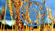 افزایش ۲ درصدی قیمت جهانی مواد غذایی در سایه جنگ علیه ایران