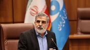 کمالوندی: آژانس نباید تسلیم فشار آمریکا شود