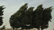 هشدار نسبت به وزش باد خیلی شدید در تهران/ کاهش دما تا ۴ درجه