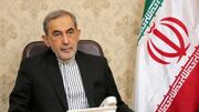 ولایتی: امنیتِ وارداتی، تاریخ مصرف دارد