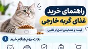 بهترین غذای گربه خارجی