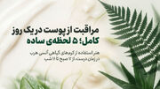 مراقبت از پوست در یک روز کامل؛ ۵ لحظه‌ی ساده با کرم‌های گیاهی
