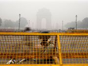 Delhi shuts schools, bans construction as pollution levels hit new high