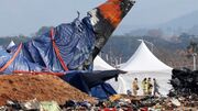 Duck DNA, bird feathers found in ill-fated Jeju Air jet engines: Probe