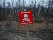 Ukraine to get US land mines for use against Russian forces: Reports