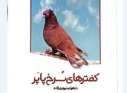 ستایشِ زیبایی‌های کم‌زور در میانه‌ زشتی‌های پرزور