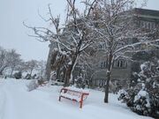 بارش برف زمستانی در واحد بین الملل ماکو؛ کوه آرارات در پوشش سپید