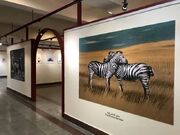 دوسالانه کاریکاتور تهران برگزیدگانش را شناخت