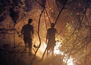 مهار آتش سوزی ۲ هکتار از جنگل‌های گیلان